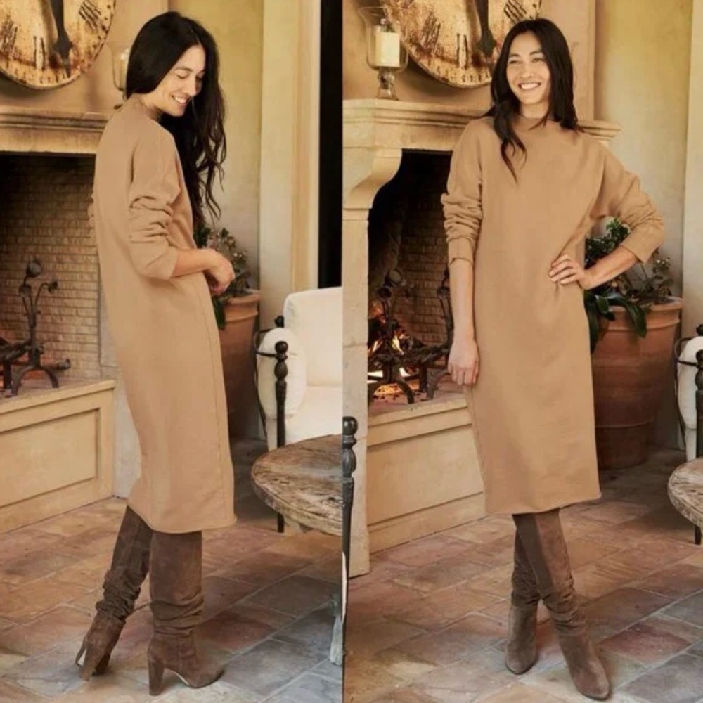 Frank & Eileen Isabelle Funnel Neck Dress Size Small